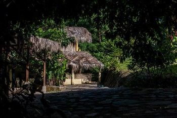 Jurassic Park Hotel Las Terrenas Eksteriør billede